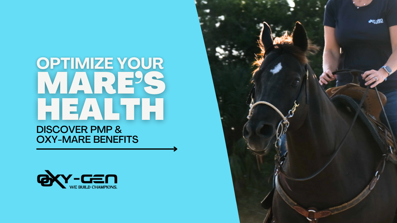 Enhancing Mare Health with Oxy-Gen Equine: Discover PMP and Oxy-Mare Paste