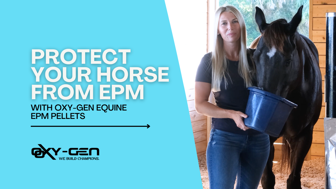 Protect Your Horse from EPM with EPM Oxy-Pellets™ for Neurological and Immune Support