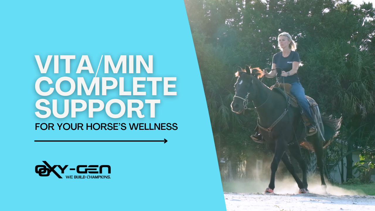 Essential Nutrition for Every Horse: Introducing Vita/Min Daily Supplement by Oxy-Gen Equine