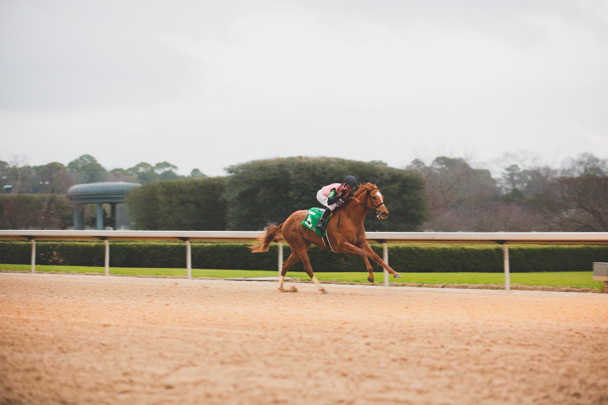 Understanding EIPH in Performance Horses