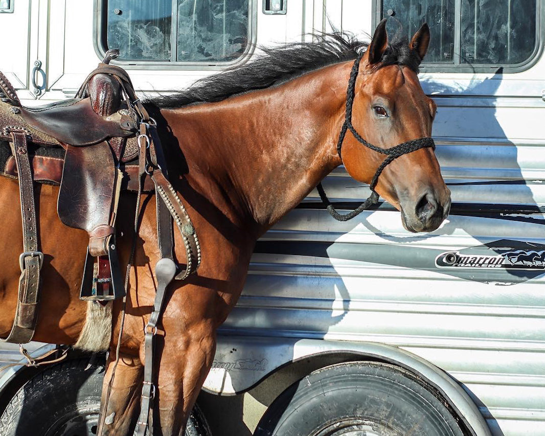 Is your horse sweating properly this summer?