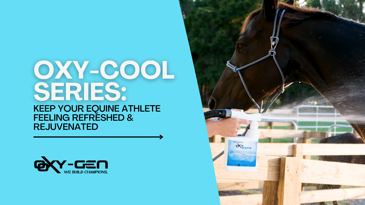 oxycool series by oxy-gen equine
