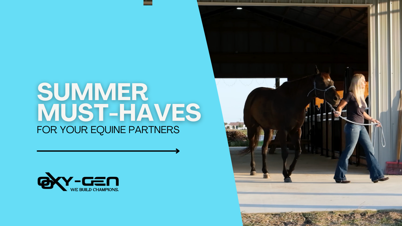 summer equine products