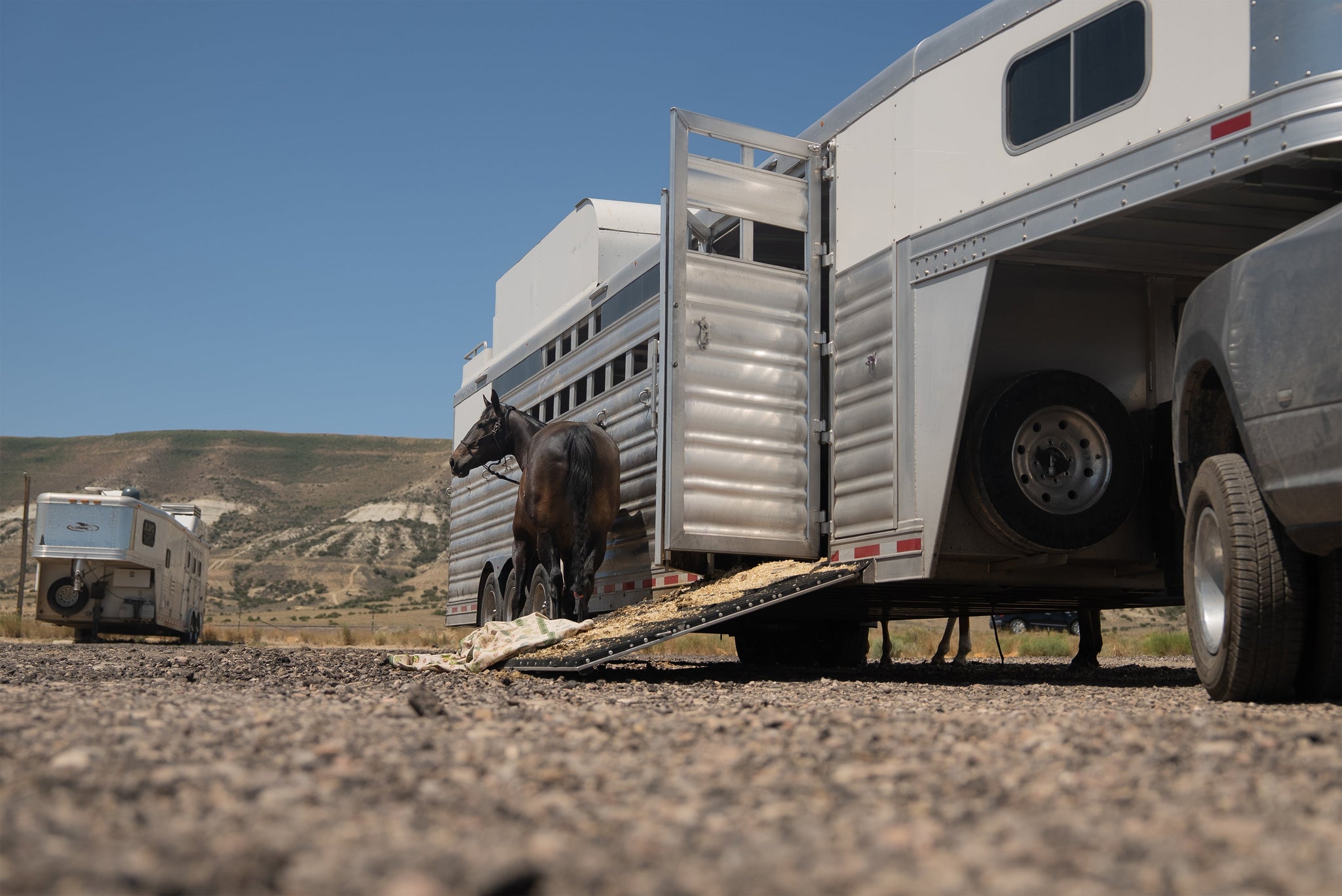 Smart Summer Hauling: Travel Tips to Keep Your Horse Safe and Hydrated in the Heat