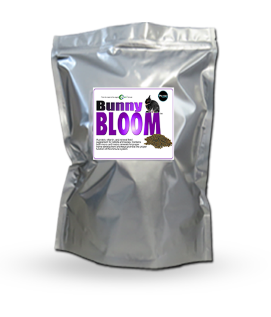 Bunny Bloom – Oxy-Gen Equine