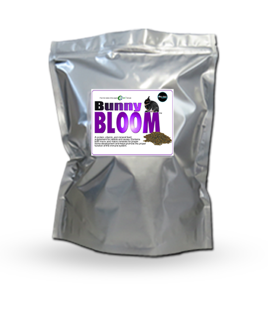 Bunny Bloom – Oxy-Gen Equine