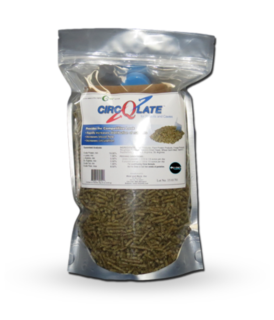 Rabbit CircQlate – Oxy-Gen Equine