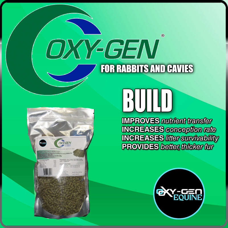 Rabbit Oxy-Gen – Oxy-Gen Equine
