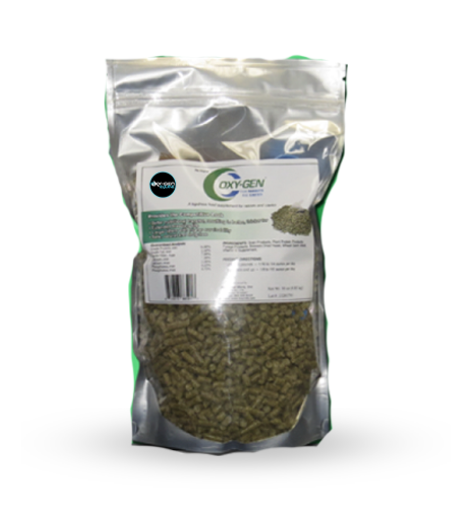 Rabbit Oxy-Gen – Oxy-Gen Equine