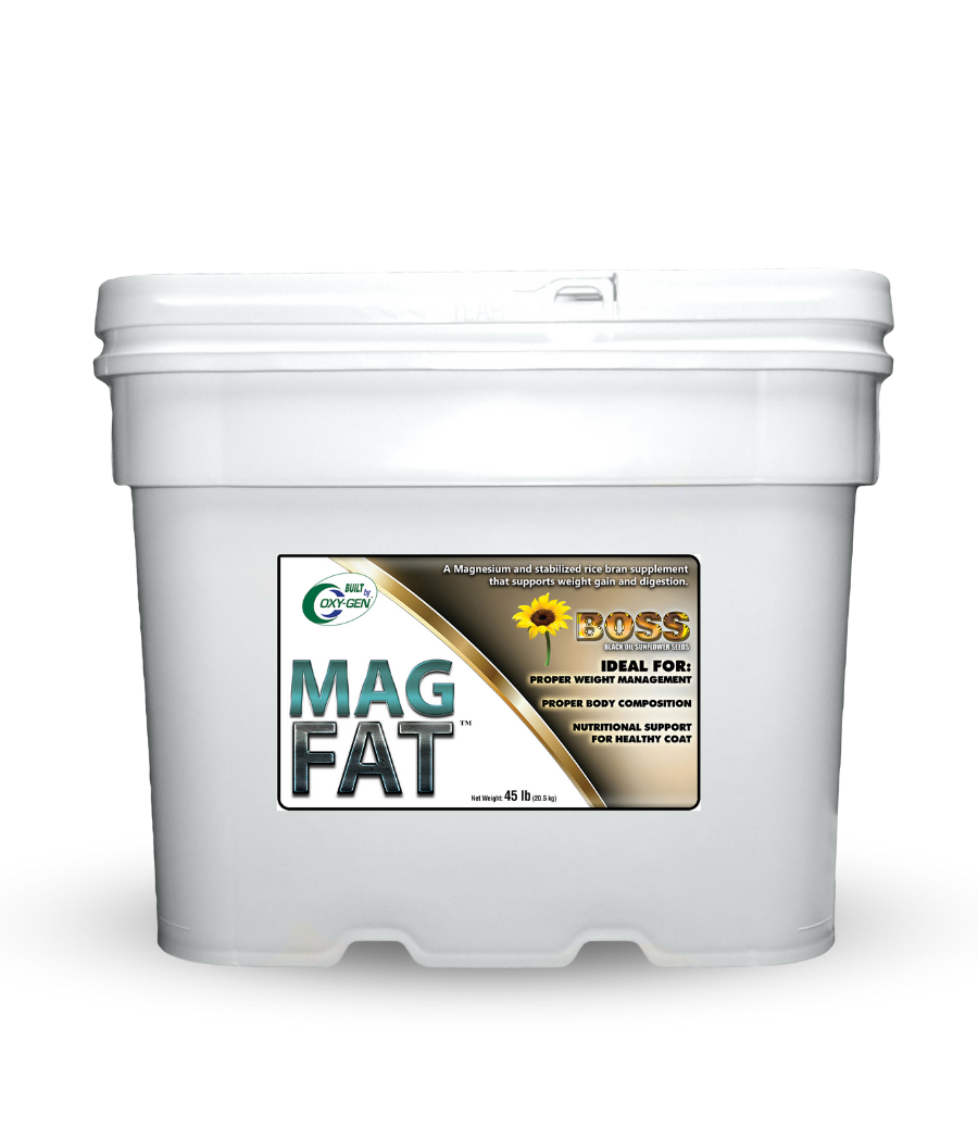 Fatboss Casino Bonus