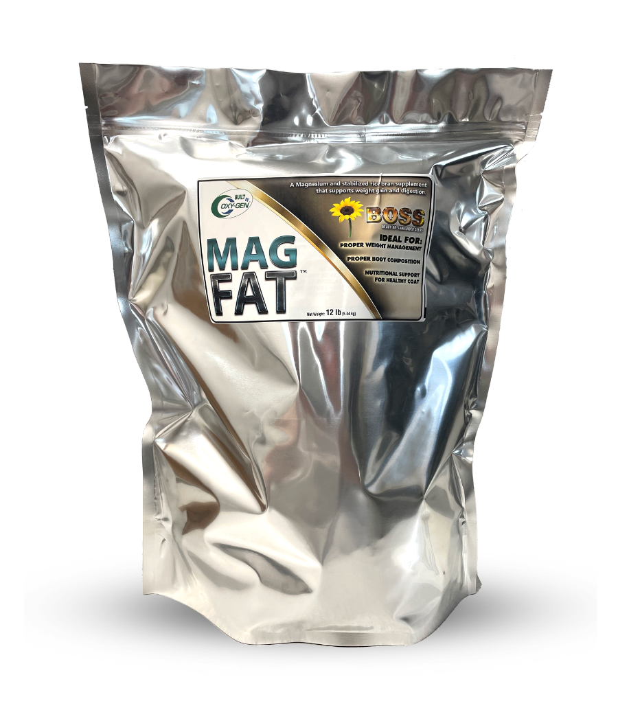 Image du produit associé au Fatboss